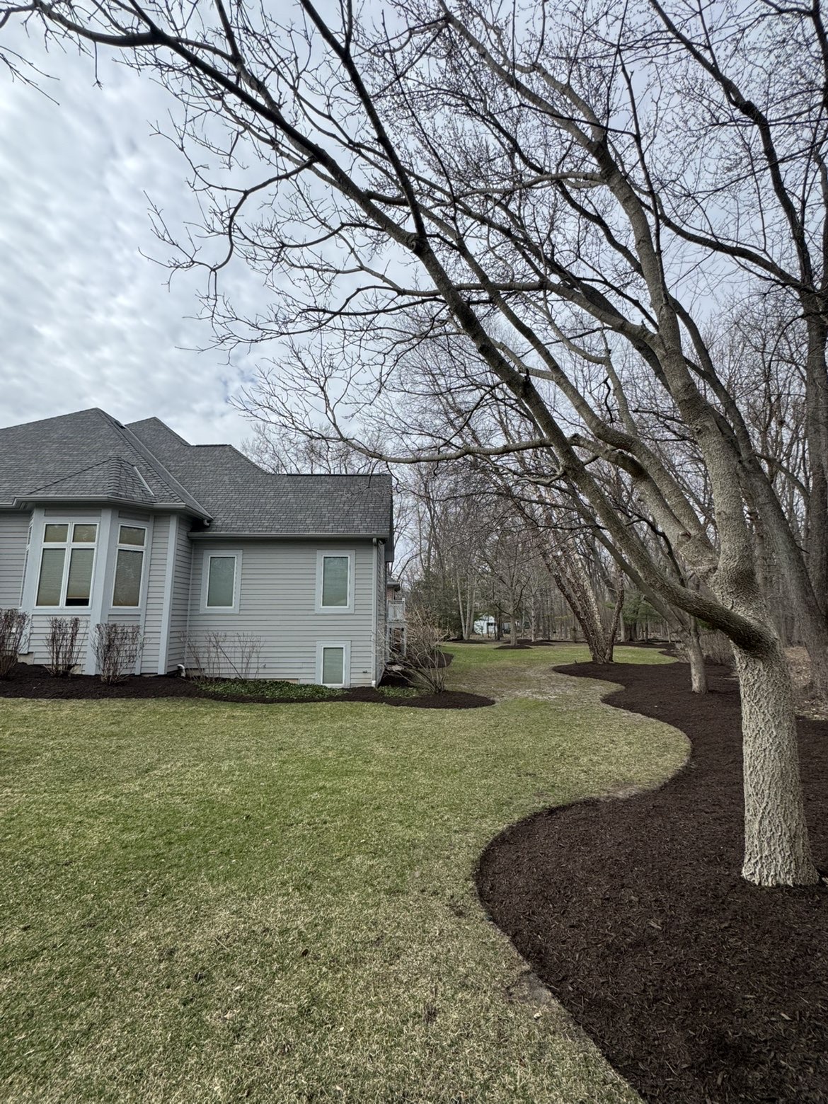 Curved mulch bed edging along wooded backyard