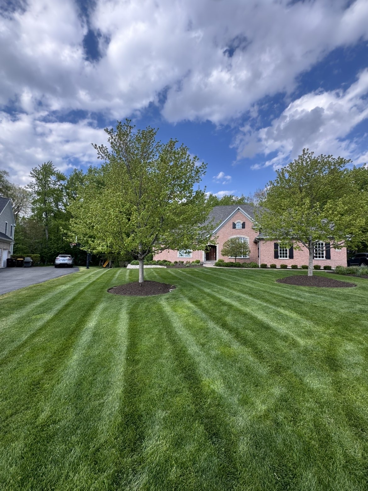 Healthy green lawn being mowed in clean stripes