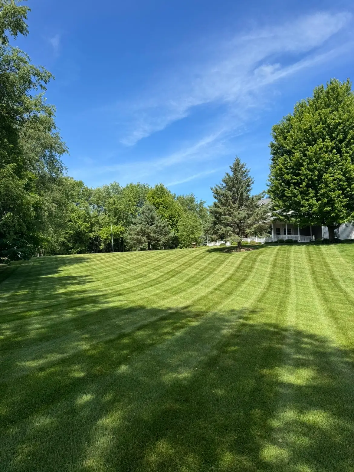 Freshly striped open lawn