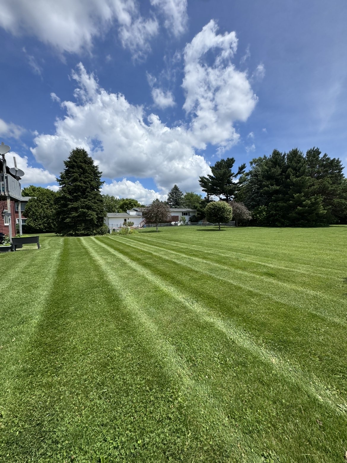Striped backyard lawn